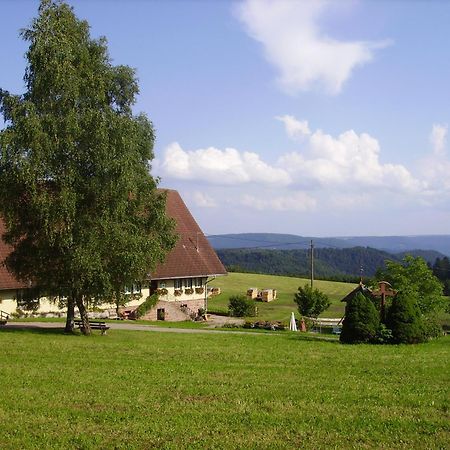 Villa Aeckerhof Wolfach Esterno foto