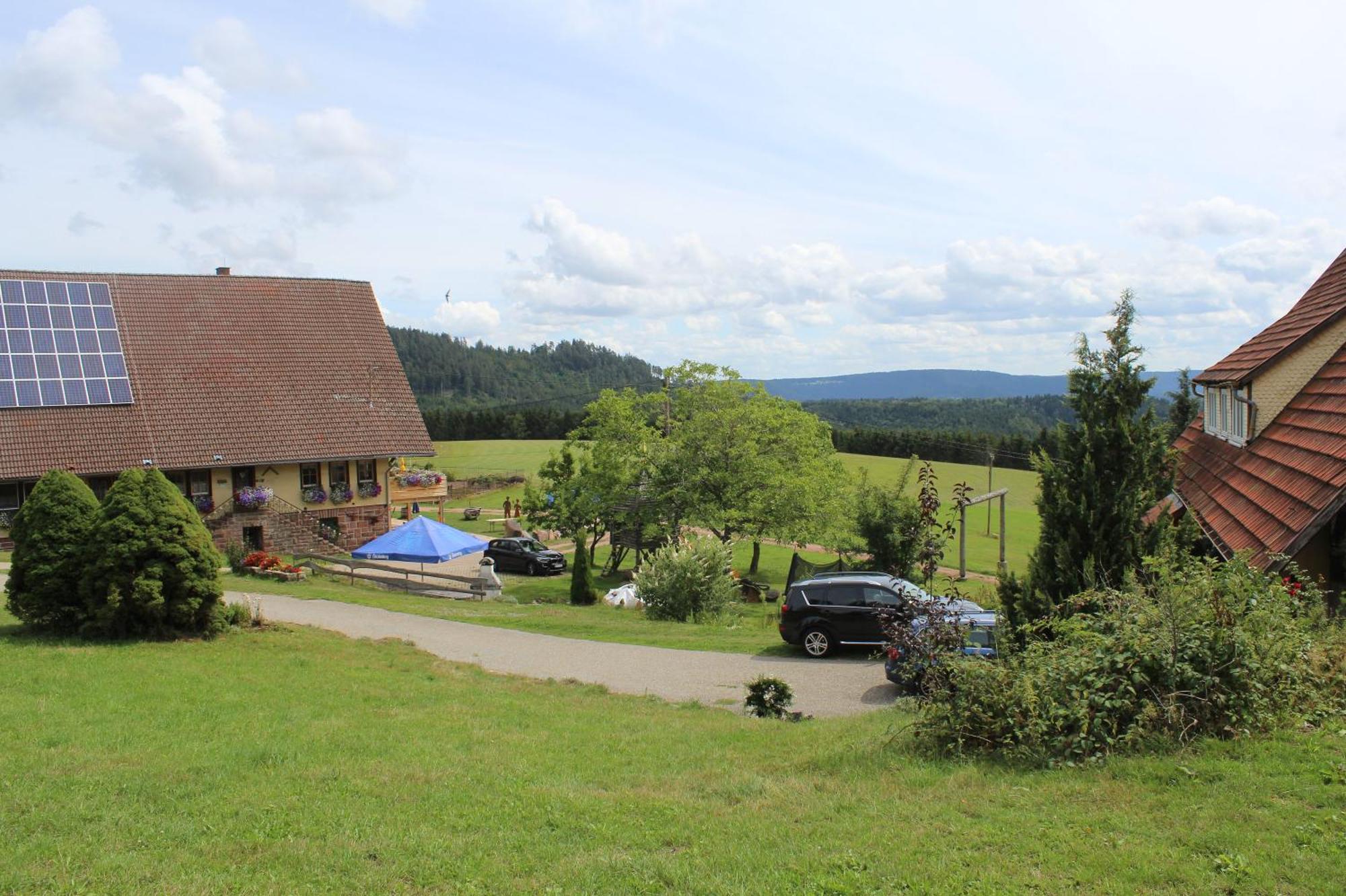 Villa Aeckerhof Wolfach Esterno foto