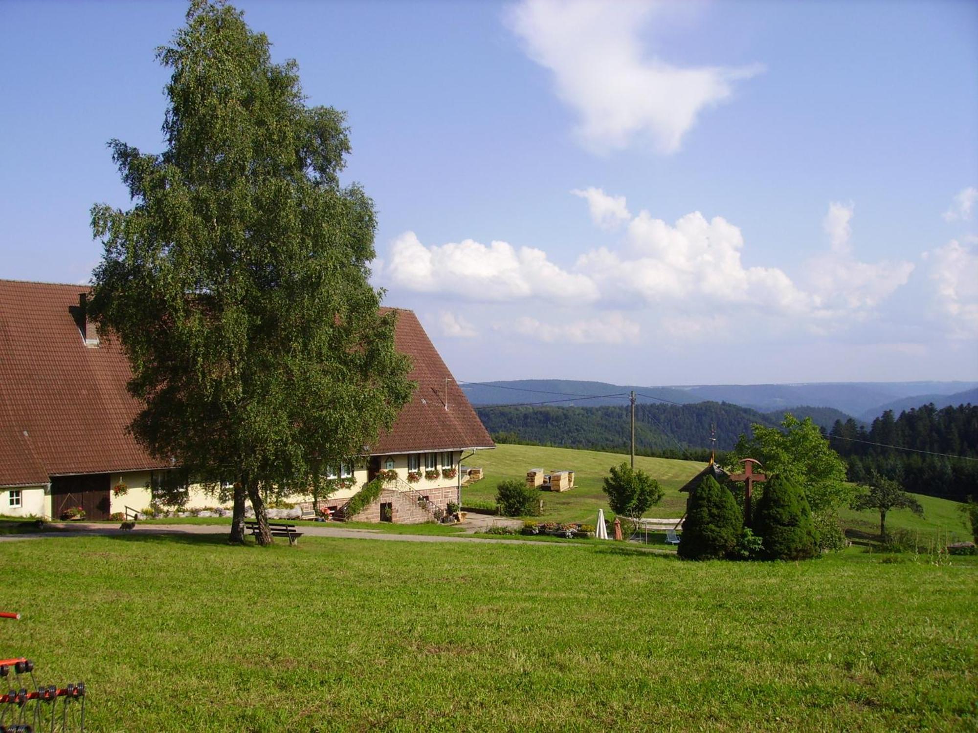 Villa Aeckerhof Wolfach Esterno foto
