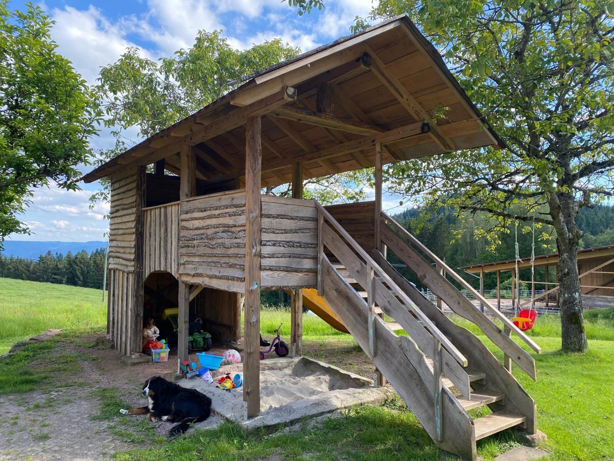 Villa Aeckerhof Wolfach Esterno foto
